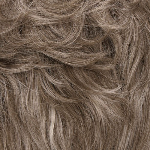 17/101 - Sugar and Spice - Light Ash Brown, Platinum Ash Blonde Frosted