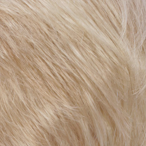 R26/613 - Golden Blonde w/ Pale Blonde