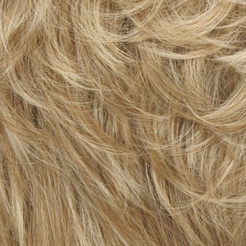 14/26A - Sunkissed Blonde -  Med. Ash Blonde/Med. Golden Blonde Highlights