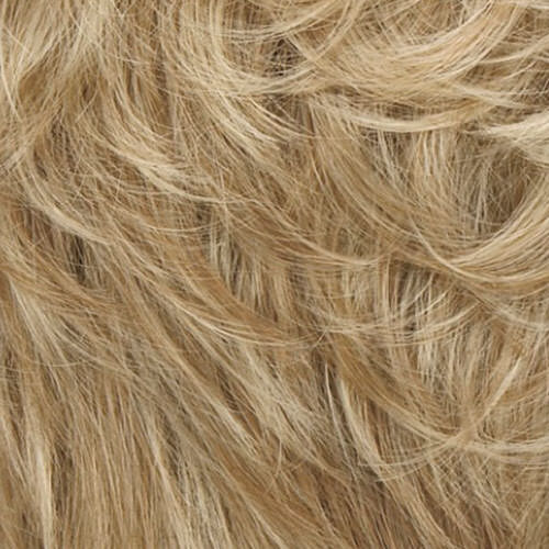 14/26A - Sunkissed-Blonde - Med. Ash Blonde/Med. Golden Blonde Highlights