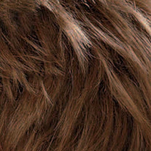 27/14/12 - Ginger Snap - Light Honey Brown, Light Auburn Highlights