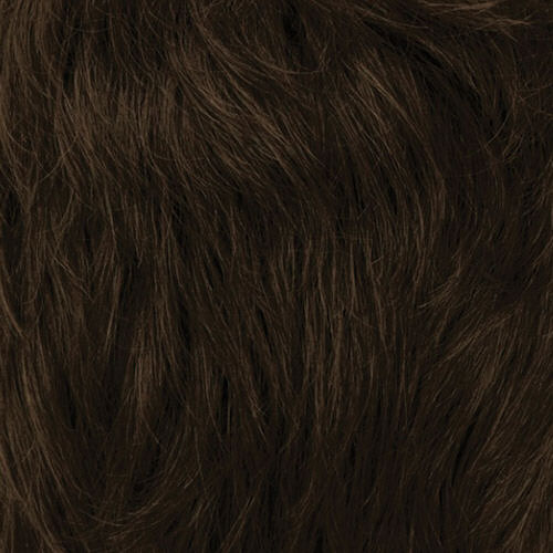 812A - Pecan Delight -  Medium Golden Brown, Light Golden Brown Highlights