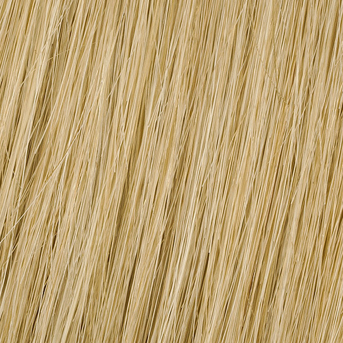 R14/88H - Golden Wheat