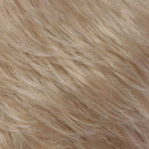 R16/22 - Honey Blonde/Light Ash Blonde Blend