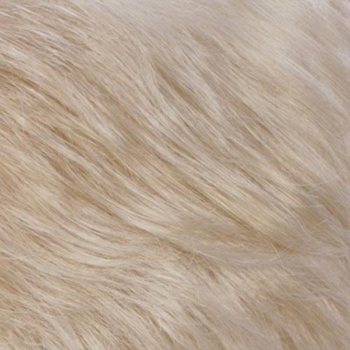 R22/102 - Light Blonde/Palest Blonde Blend