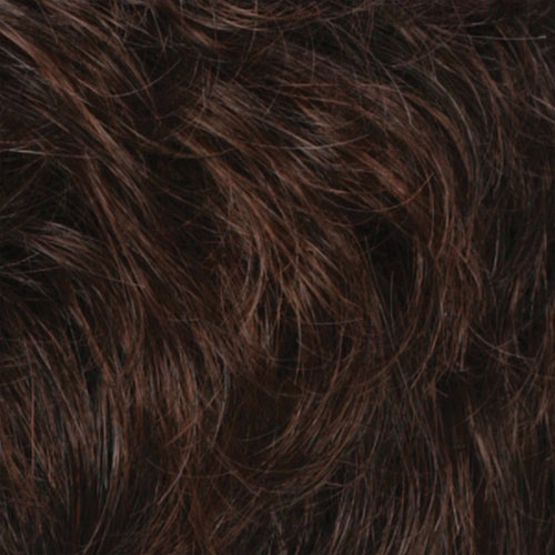 R36F - Chestnut Brown / Medium Auburn Frost