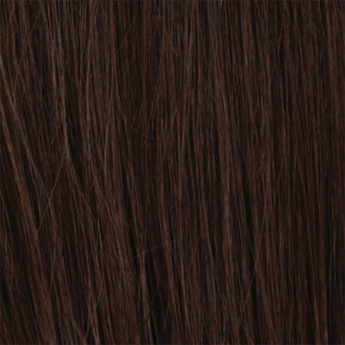 R6 - Chestnut Brown