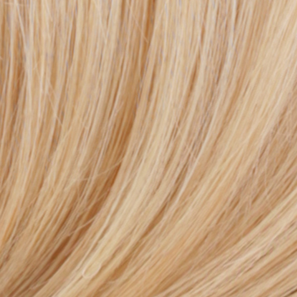 R613/27 - Light Auburn blended w/ Pale Blonde