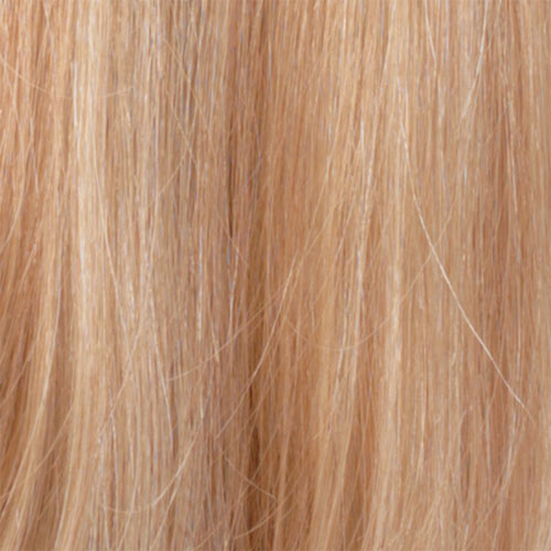 RH1488 - Dark Blonde w/ Lightest Blonde Highlights